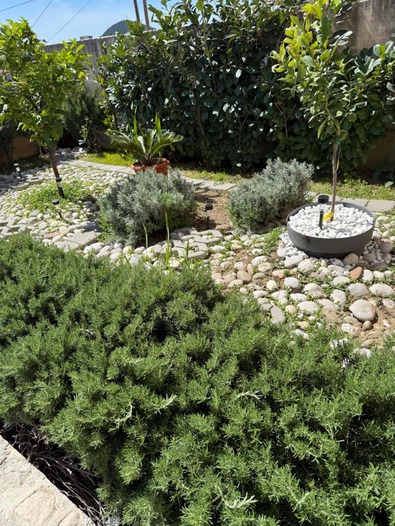 Lemon Tree Dubrovnik Apartments Luaran gambar