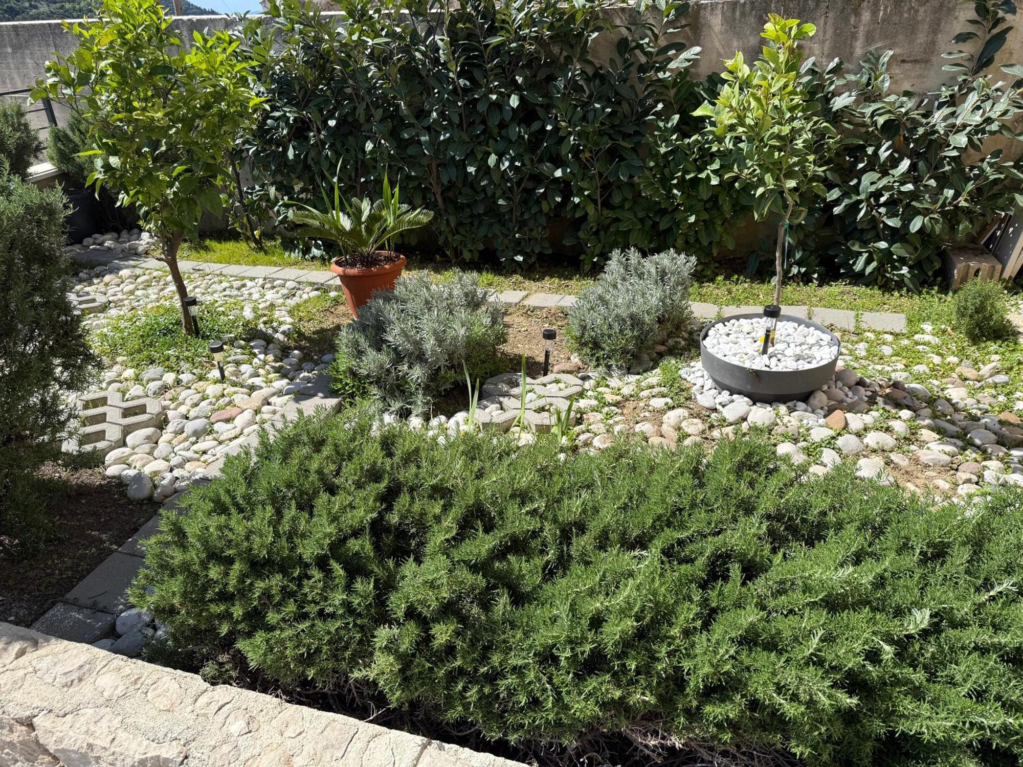 Lemon Tree Dubrovnik Apartments Luaran gambar