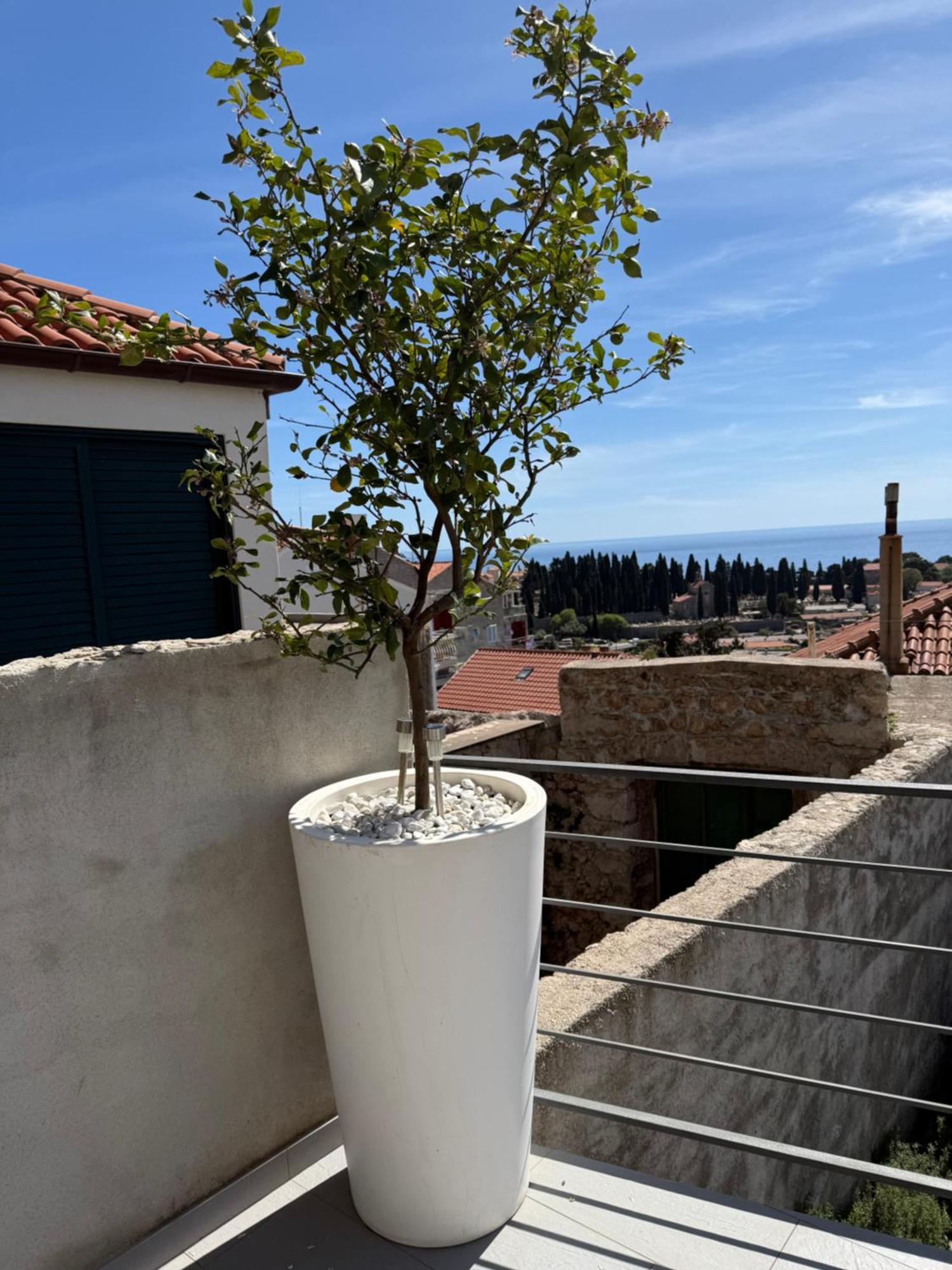 Lemon Tree Dubrovnik Apartments Luaran gambar